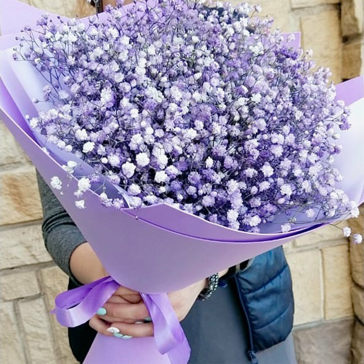 51 Фиолетовая Гипсофила